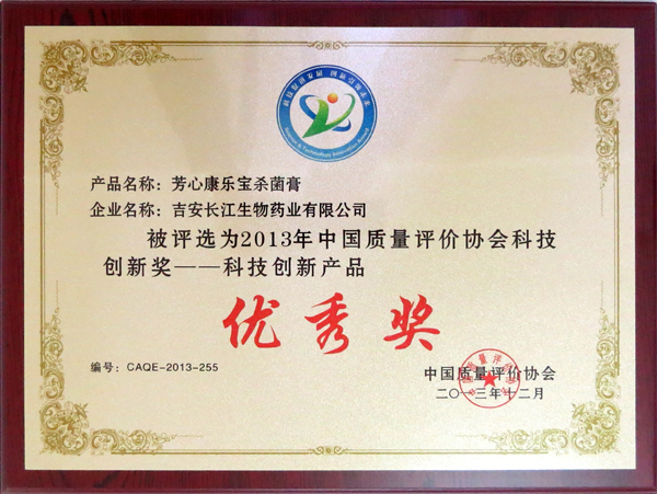 2013年中国质量评价协会科技创新奖--科技创新产